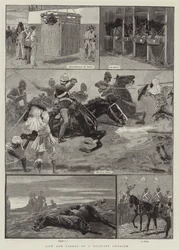 Life and Career of a Military Charger